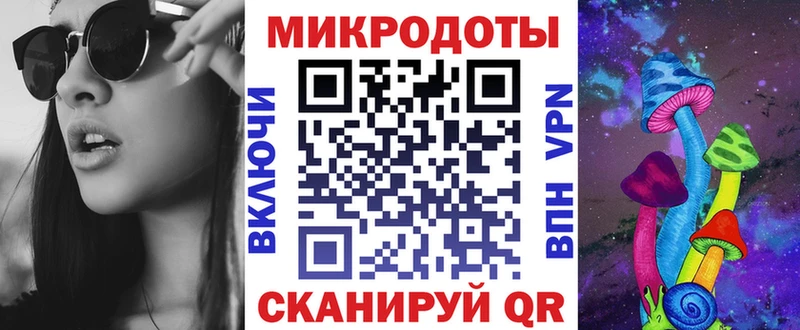 как найти закладки  Алейск  Галлюциногенные грибы Psilocybe 