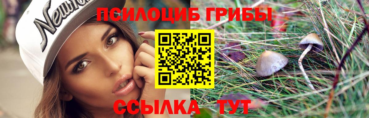 Алейск  Псилоцибиновые грибы Cubensis  Вход с VPN 