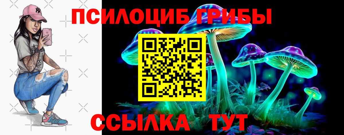 Псилоцибиновые грибы GOLDEN TEACHER Алейск