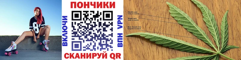 Каннабис гибрид Алейск